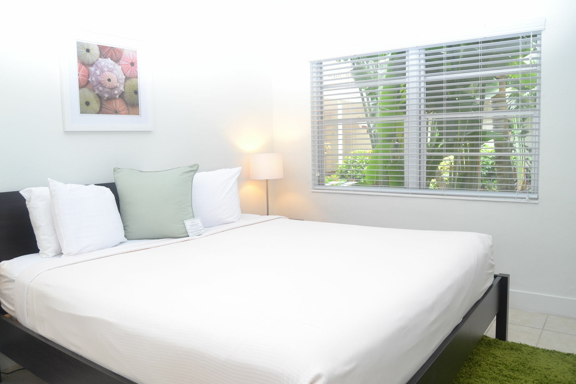 Solas A North Beach Village Resort Hotel Fort Lauderdale Exteriér fotografie